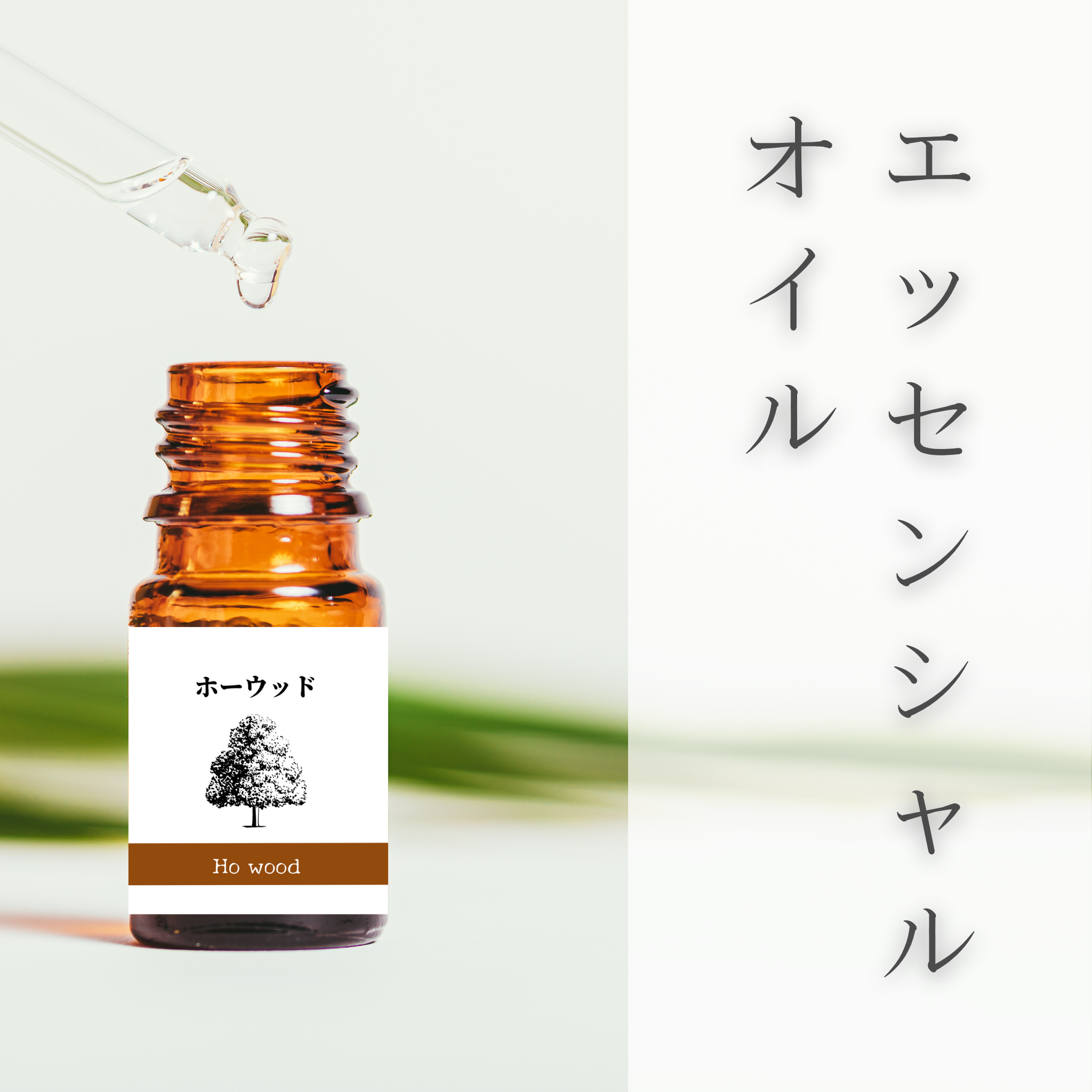 エッセンシャルオイル – ハーブヒロ